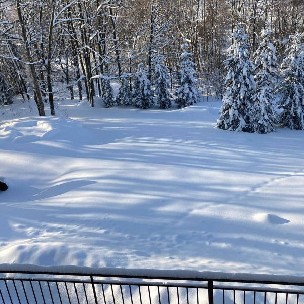 Na sáňky ideální